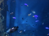 DSC02487.jpg