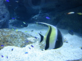 DSC02488.jpg