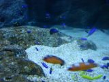 DSC02489.jpg