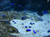 DSC02490.jpg