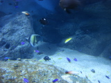 DSC02491.jpg