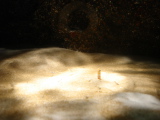 DSC02451.jpg