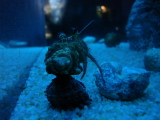 DSC02492.jpg