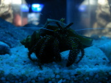 DSC02493.jpg