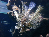 DSC02495.jpg