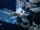 DSC02496.jpg