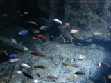 DSC02503.jpg