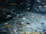 DSC02504.jpg