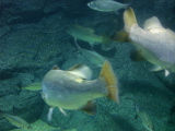 DSC02510.jpg