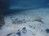 DSC02529.jpg