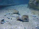 DSC02530.jpg