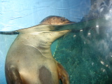 DSC02535.jpg
