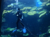 DSC02540.jpg