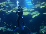 DSC02541.jpg