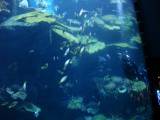 DSC02544.jpg