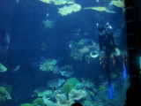 DSC02545.jpg