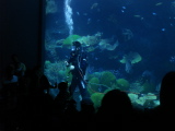 DSC02546.jpg