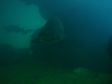 DSC02555.jpg