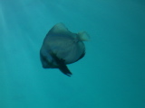 DSC02559.jpg