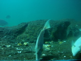 DSC02560.jpg