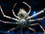 DSC02455.jpg