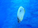 DSC02802.JPG