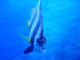 DSC02803.JPG