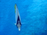DSC02808.JPG
