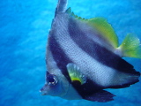 DSC02809.JPG