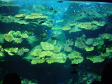 DSC02810.JPG
