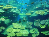 DSC02811.JPG