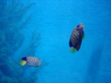 DSC02813.JPG