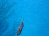 DSC02815.JPG
