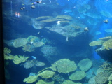 DSC02457.jpg