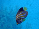 DSC02816.JPG