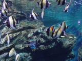 DSC02817.JPG