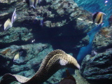DSC02818.JPG
