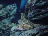DSC02820.JPG