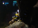 DSC02825.JPG