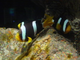 DSC02827.JPG