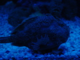 DSC02828.JPG