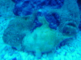 DSC02830.JPG